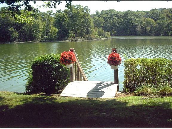 View from Rear of House.