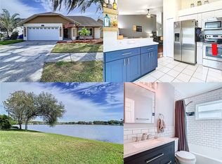 8625 Boysenberry Dr, Tampa, FL 33635