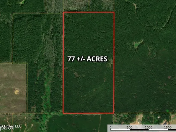 Ratliff Ferry Rd, Canton, MS 39046