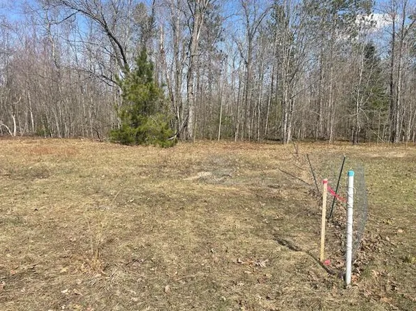 2.1 Acres Club Rd, Indian River, MI 49749