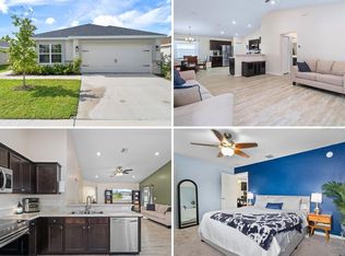 105 Blue Alice Spring Ct, Ruskin, FL 33570