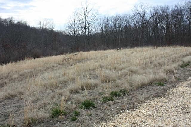 2nd image of Keel Hollow Rd