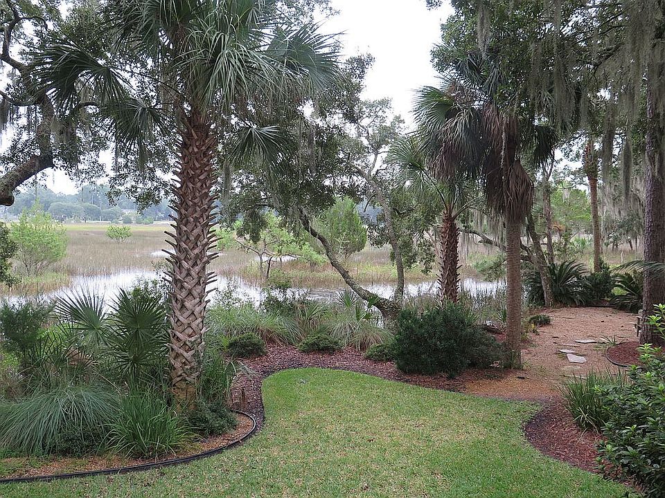 Back yard