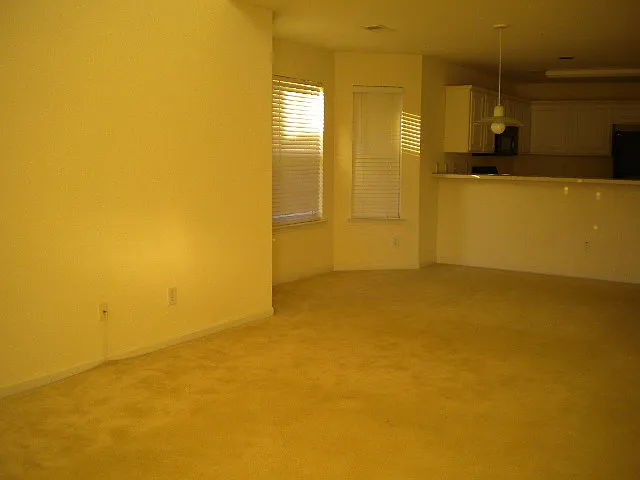 1041 Stoney Falls Blvd - 1 — Photo 4