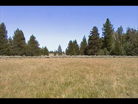 2nd image of Klamath Falls Forest Estates Sycan Unit