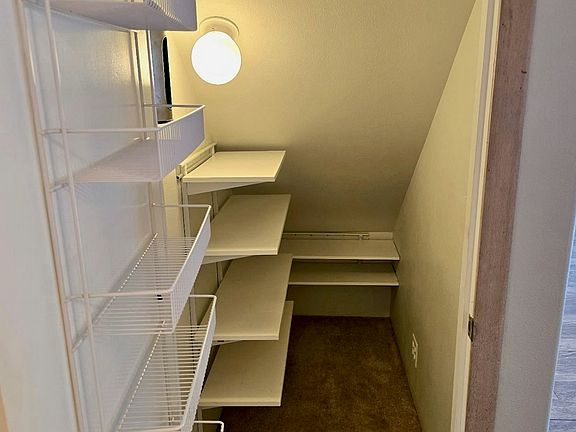 Pantry/Storage Closet