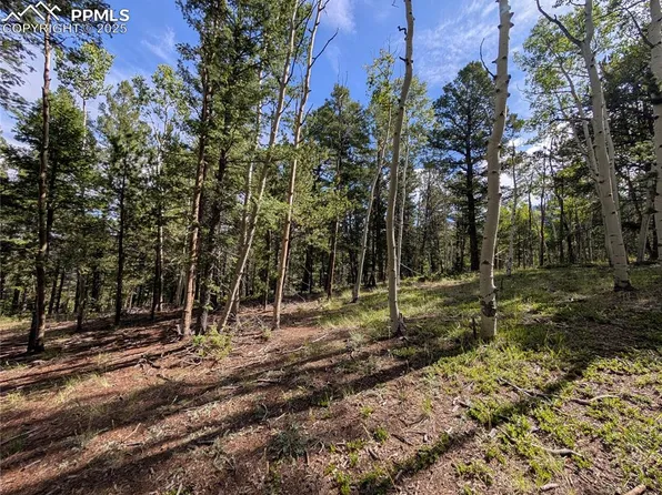 60 Fluorite Ln, Divide, CO 80814