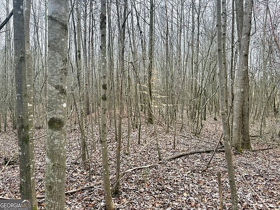 3rd image of 0 County Road 670