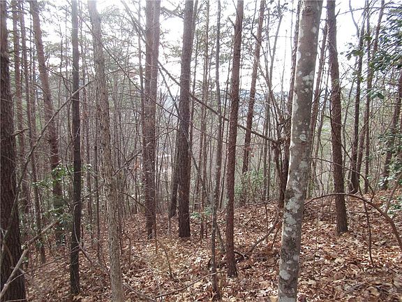 2nd image of 110 Fireside Ln