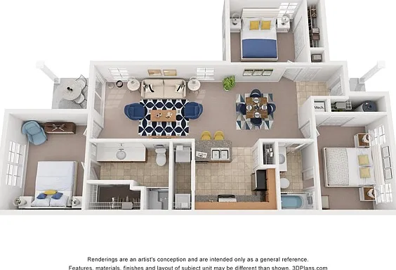 Cedar Cedar