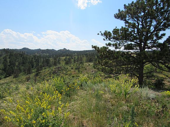 3rd image of 1191 Granite Springs Rd