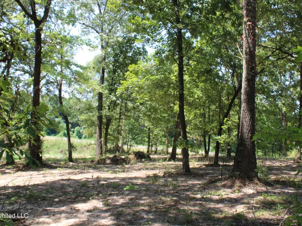 1199 Victoria Rd, Byhalia, MS 38611