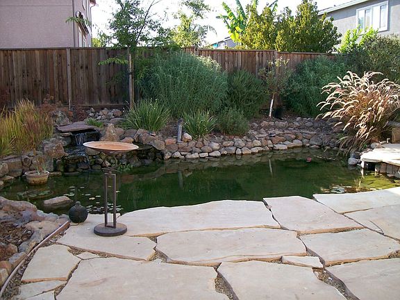 Park like setting with koi pond