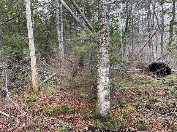 225 Priest Road, Northport, ME 04849