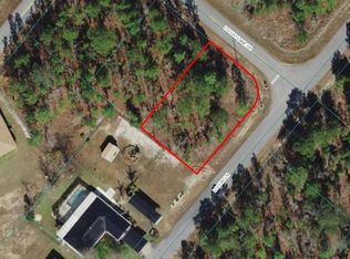 Locust Run LOT 14, Ocklawaha, FL 32179