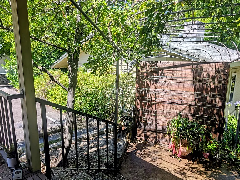 Front yard