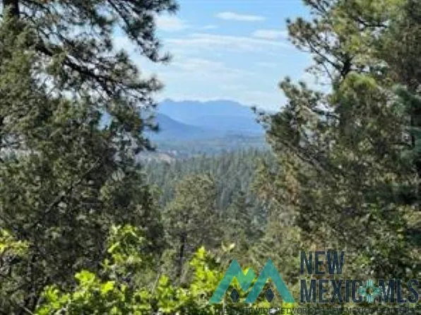 Log Ridge Trl, Chama, NM 87520