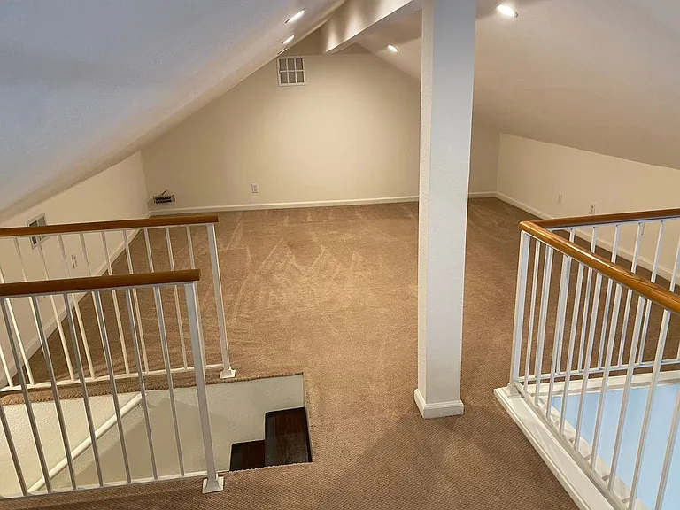 23 Tangelo — Photo 10