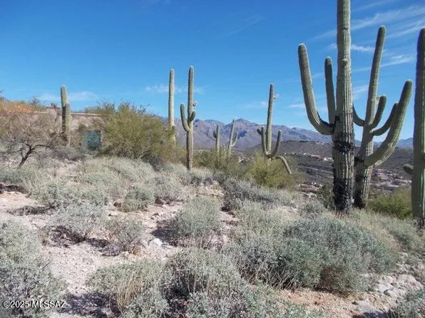 4130 N Painted Quail Pl Unit 80, Tucson, AZ 85750