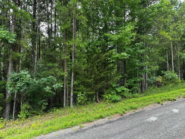 LOT 96 Cobalt Bay Dr, Shirley, AR 72153