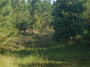 Old Georgetown Rd, Hemingway, SC 29554