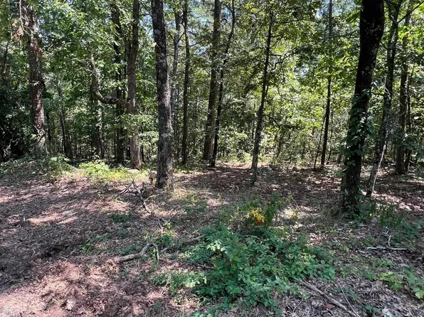 Murcia Way, Hot Springs Village, AR 71909