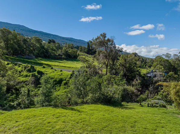 30 Kamila St, Kula, HI 96790