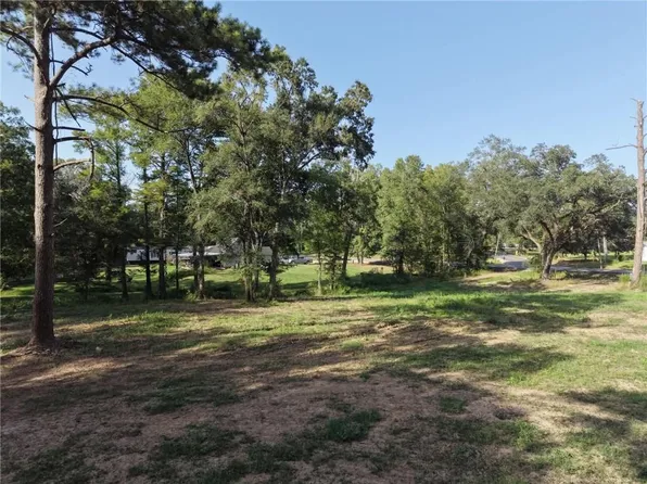 26351 S Satsuma Rd, Livingston, LA 70754