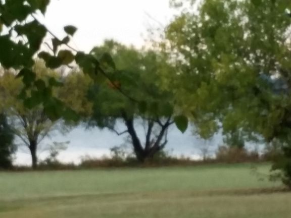 Lake View from back porch