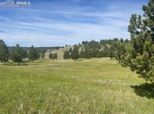 38 Apache Cir, Florissant, CO 80816