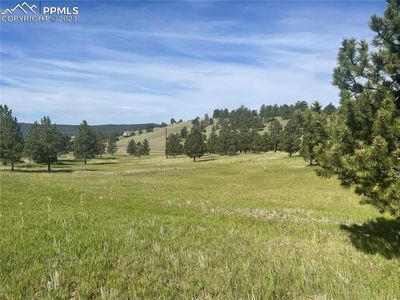 38 Apache Cir, Florissant, CO, 80816