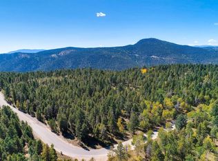 12171 S Ridge Rd, Conifer, CO 80433
