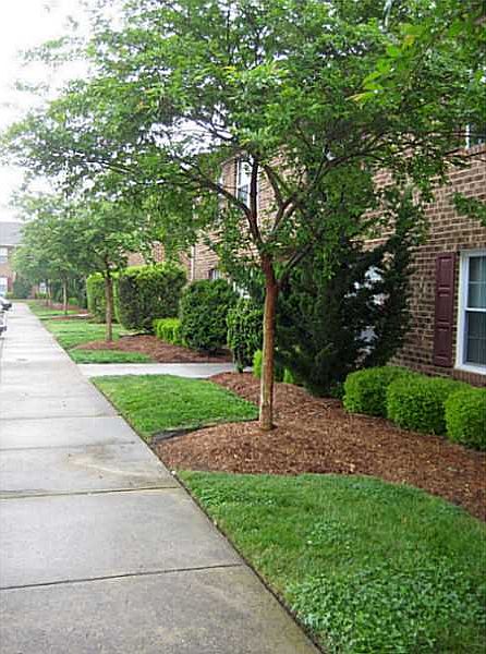 1st image of 471 Lisa Sq APT 125