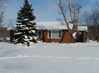 9377 Ryther Rd, Angola, NY 14006