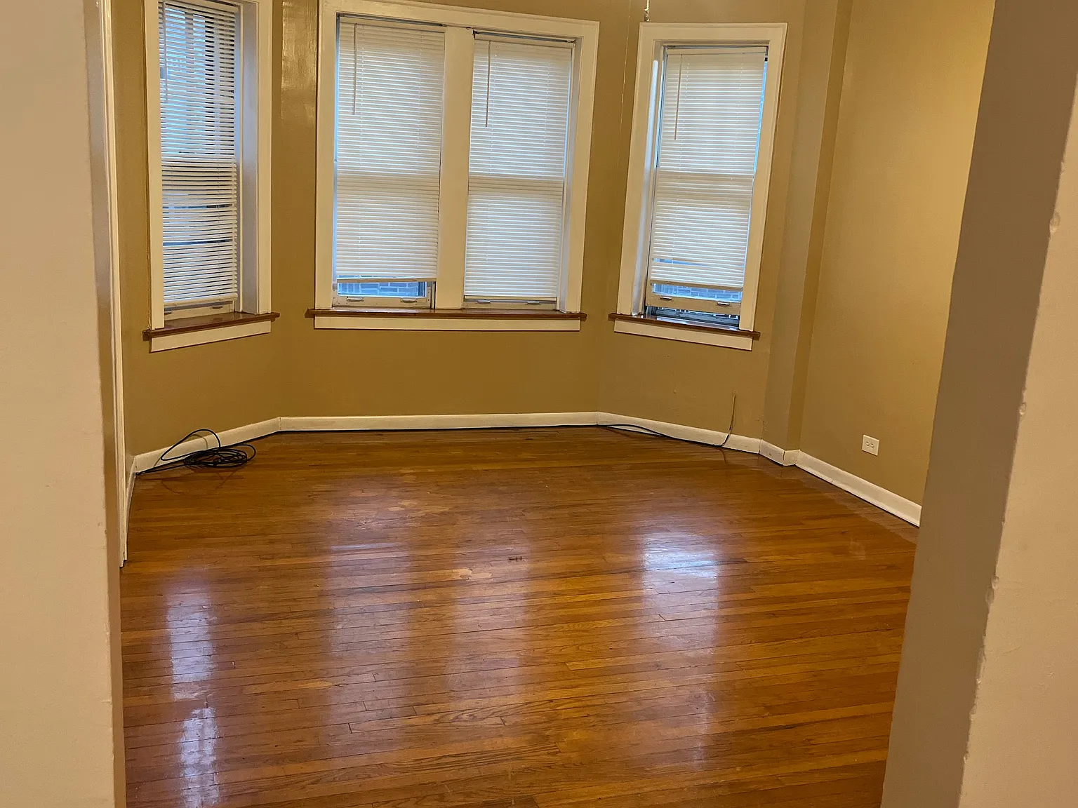 1 bed, 800 sqft, $975 — Photo 2