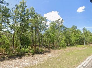 4169 N Hatchet Cir, Beverly Hills, FL 34465