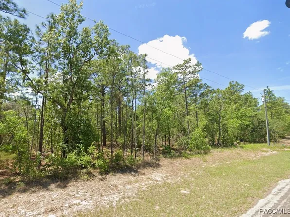 4169 N Hatchet Cir, Beverly Hills, FL 34465