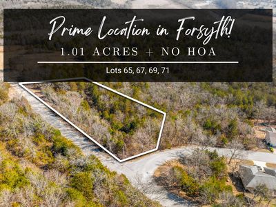 Lots 65, 67, 69, 71 Swan Valley Drive, Forsyth, MO, 65653