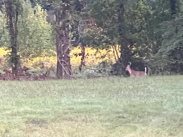 2344 Ed Haymes Rd, Austin, AR 72007