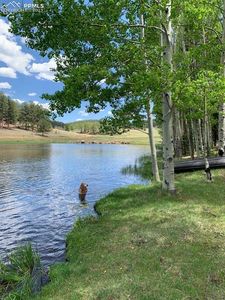 3770 County Road 42 Rd, Florissant, CO, 80816