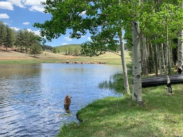 3770 County Road 42, Florissant, CO 80816