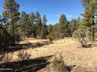 2306 Thunderbird Cir LOT B1 & B2, Overgaard, AZ 85933