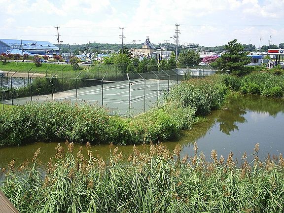 Tennis Courts View From Deck