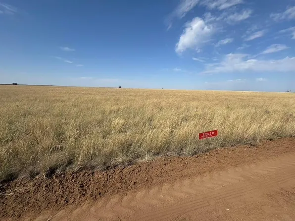 11215 Strawberry Ln, Hartley, TX 79044