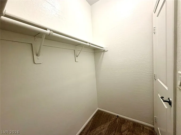 6979 Painted Vista Ct — Photo 44