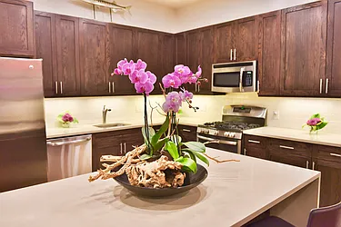 Sold by Holly's Staten Island Buzz