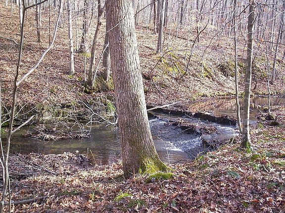 stream