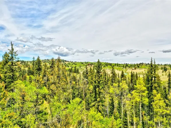 28 Old Squaw Rd, Como, CO 80432