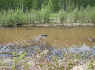 49198 S Hunter Dr, Willow, AK 99688