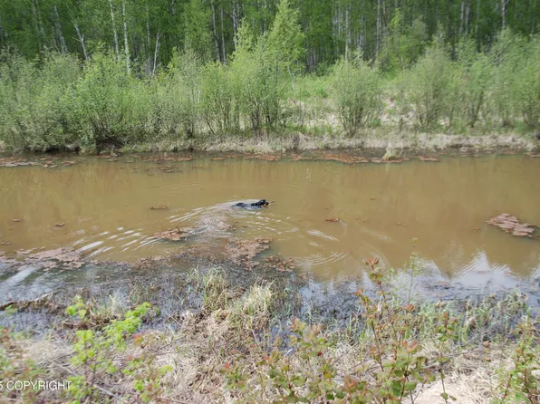 49198 S Hunter Dr, Willow, AK 99688